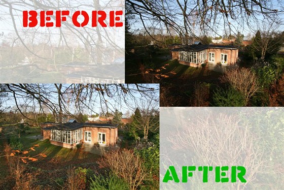 Image color correction: Color Correction