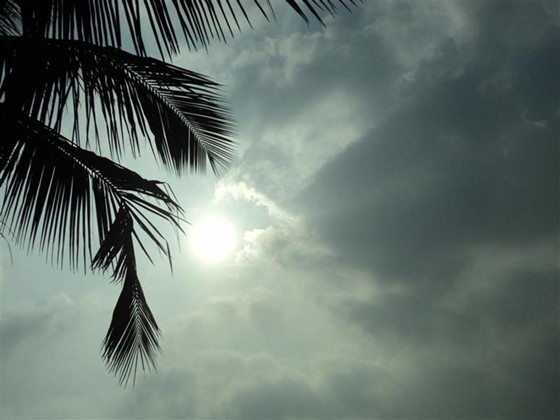 Photography: Some of my ohotography