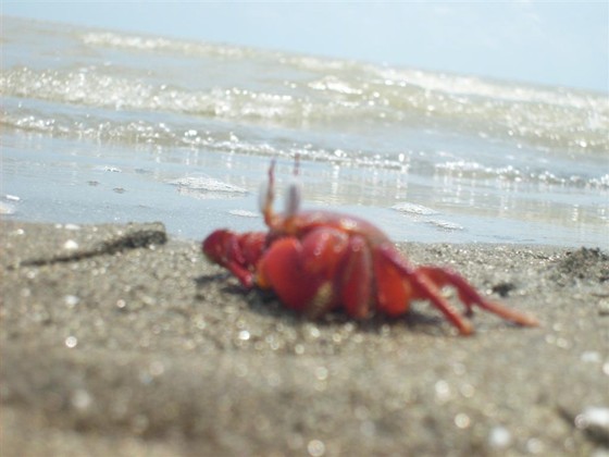 Photography: Some of my ohotography