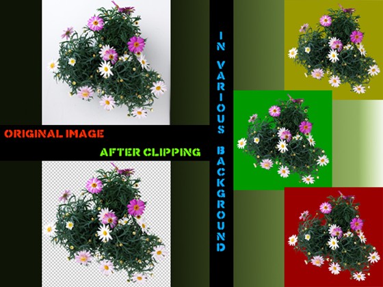 Image manipulation: Clipping Image/Remove background